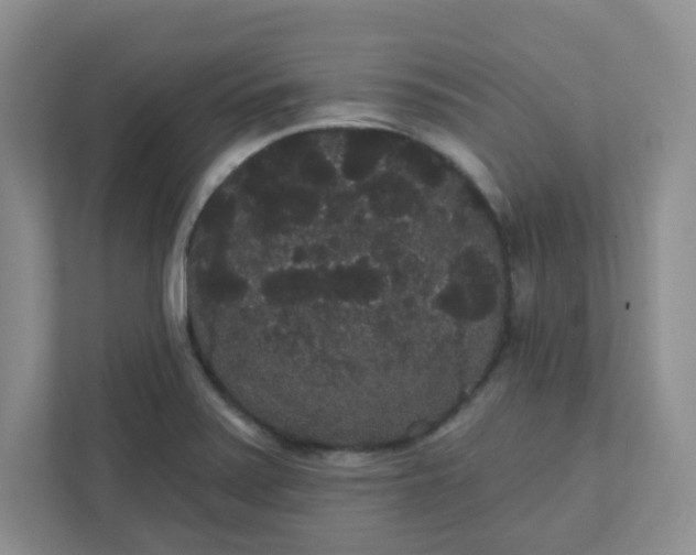 X0000111421371200907271134