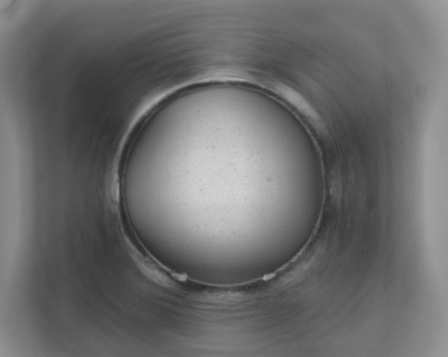 X0000111421372200907271134