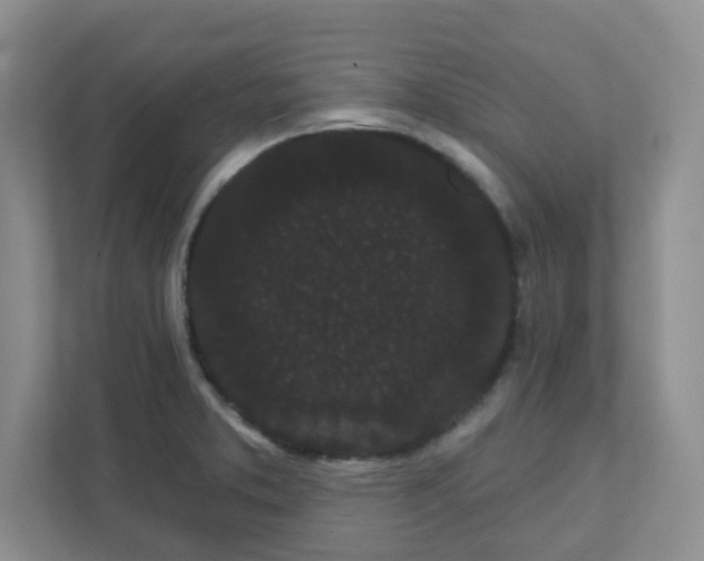 X0000111421373200907271134