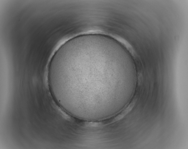 X0000111421374200907271134