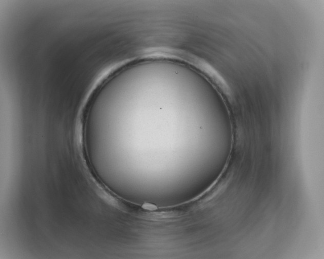 X0000111421376200907271134