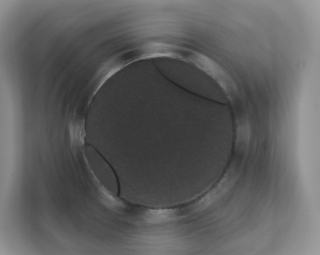 X0000111421377200907271134