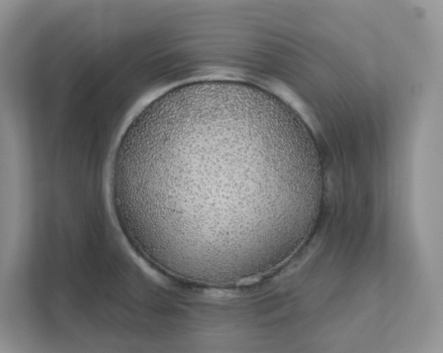 X0000111421379200907271134