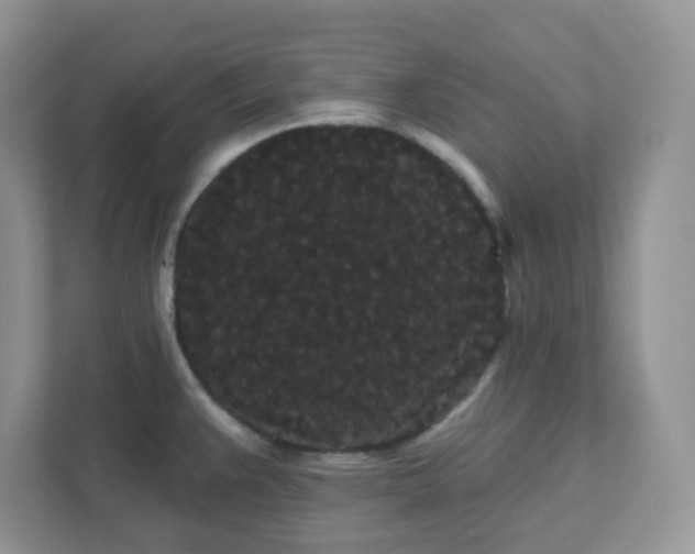 X0000111421383200907271134