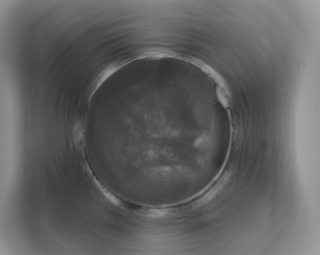 X0000111421385200907271134