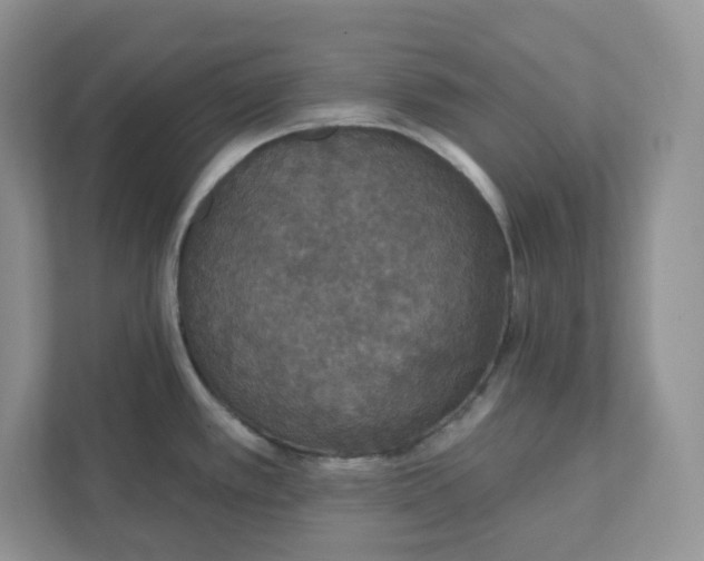 X0000111421389200907271134