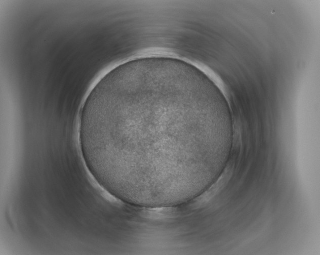 X0000111421390200907271134