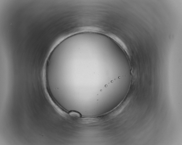 X0000111421391200907271134