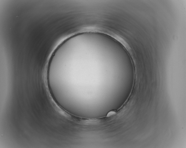 X0000111421392200907271134