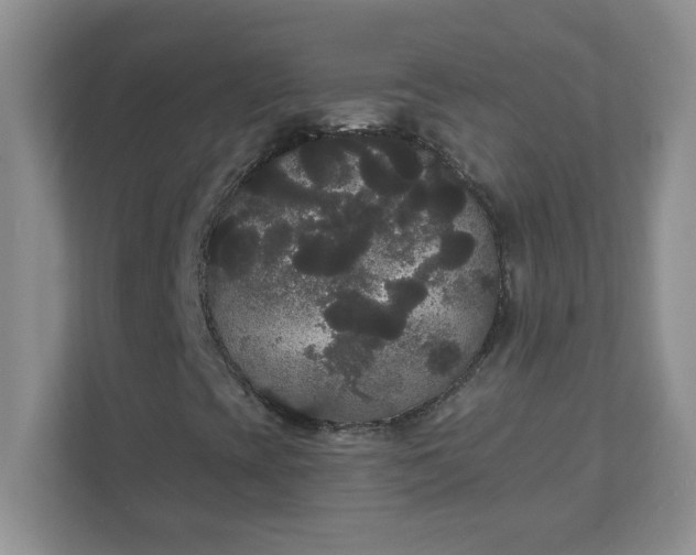 X0000111421393200907271133