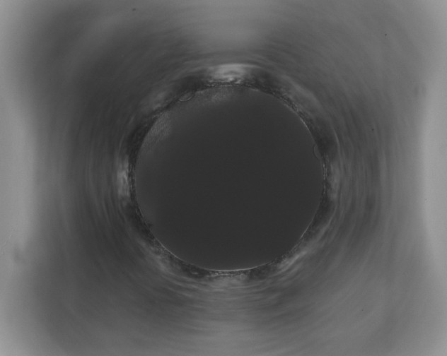 X0000111421394200907271133