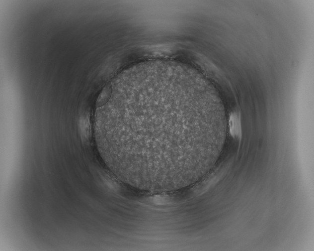 X0000111421395200907271133