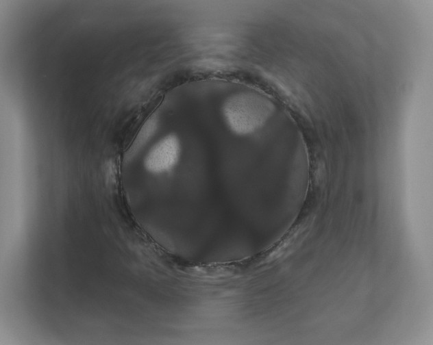 X0000111421397200907271133