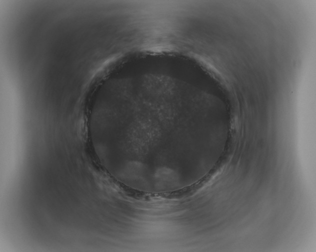 X0000111421398200907271133