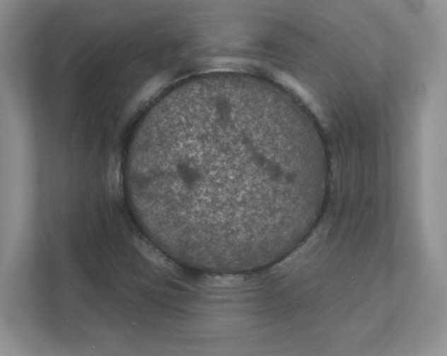 X0000111421403200907271133