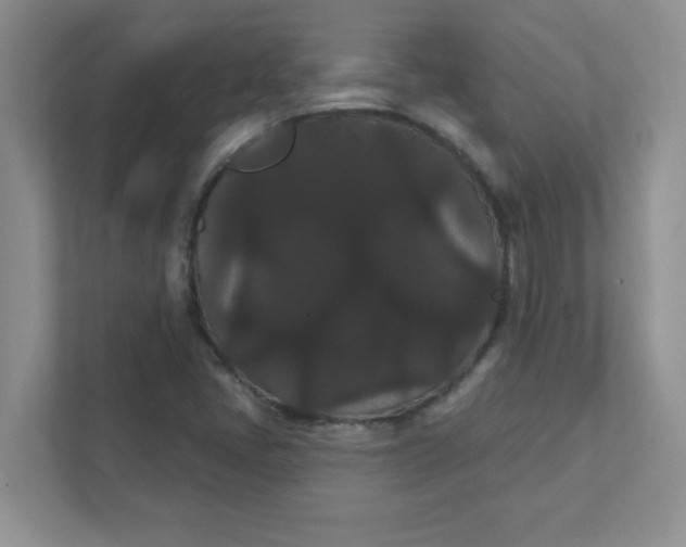 X0000111421405200907271133