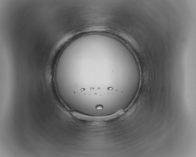 X0000111421406200907271133