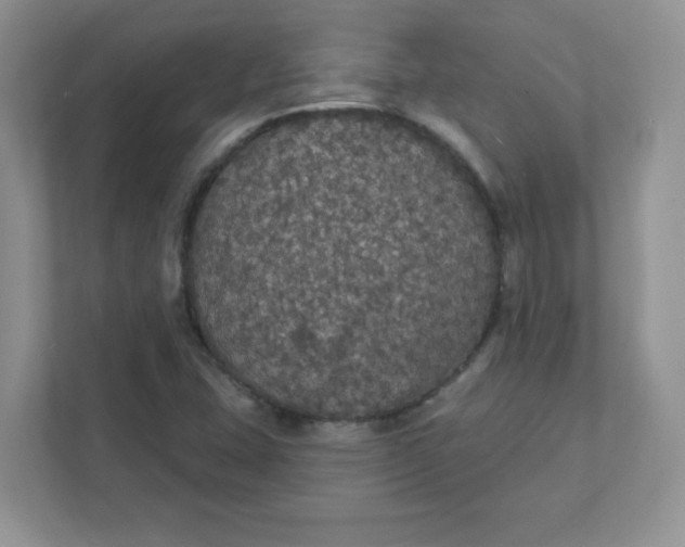 X0000111421407200907271133