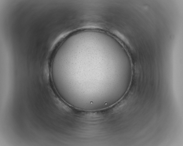 X0000111421408200907271133