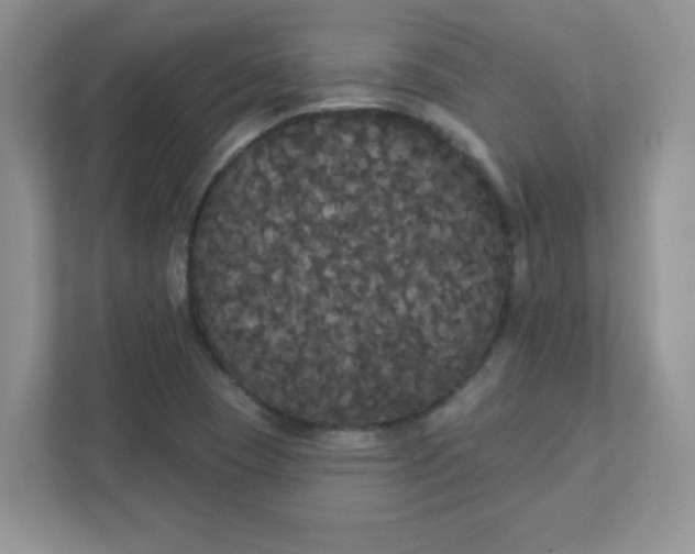 X0000111421409200907271133