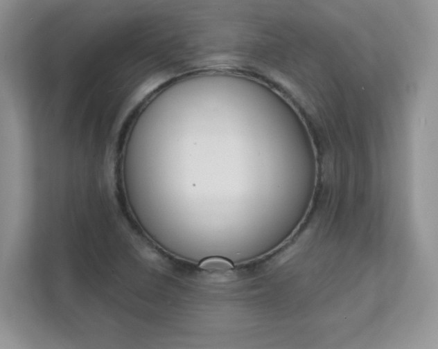 X0000111421410200907271133