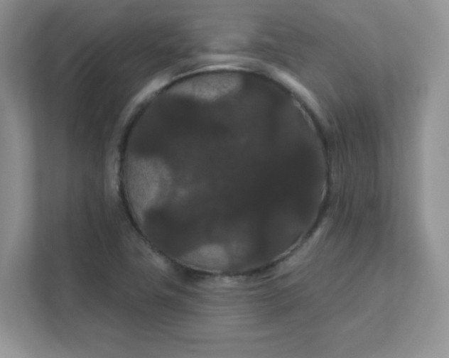 X0000111421411200907271133