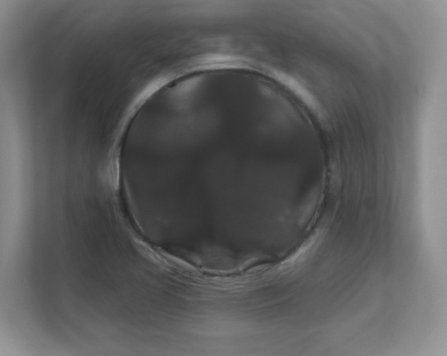 X0000111421413200907271133