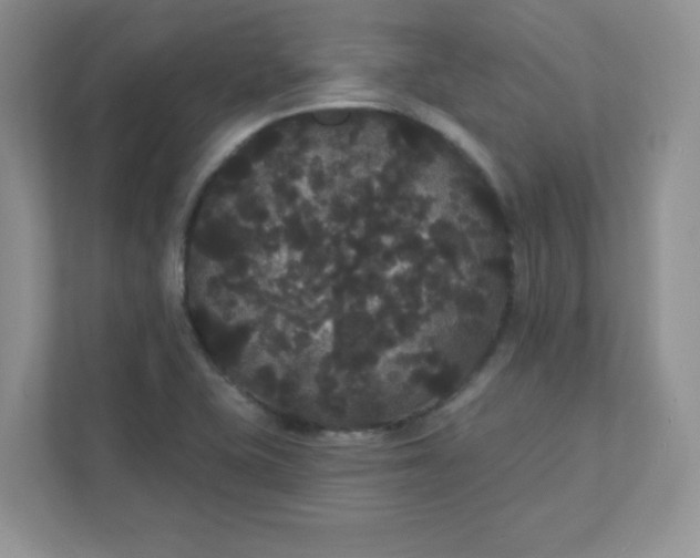 X0000111421415200907271133