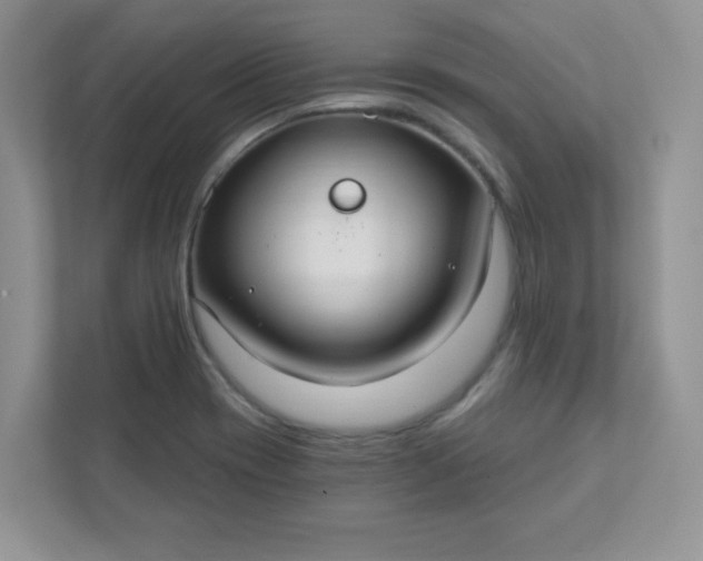 X0000111421417200907271133