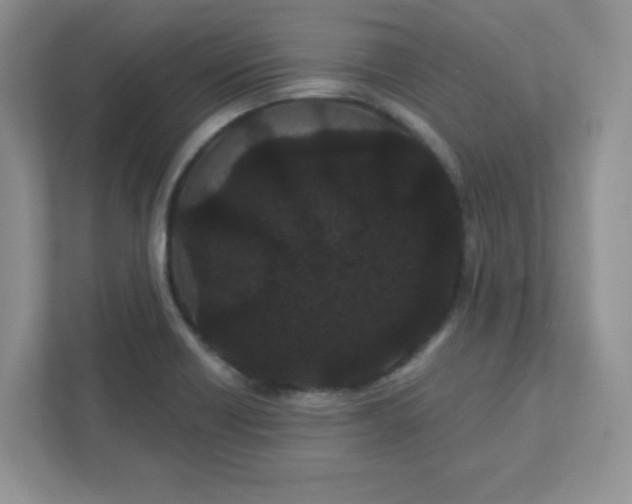 X0000111421418200907271133