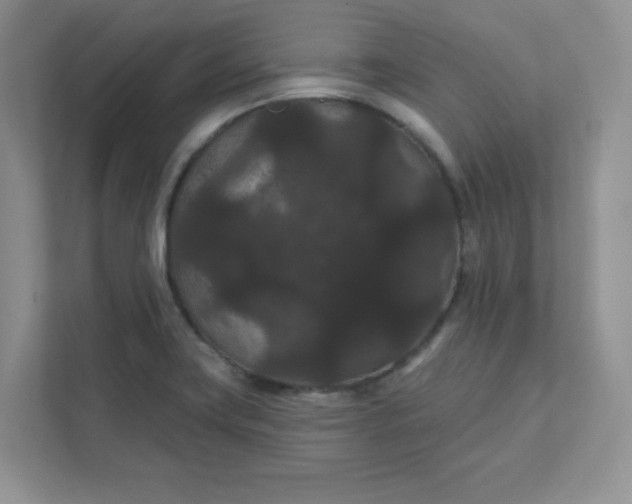 X0000111421419200907271133