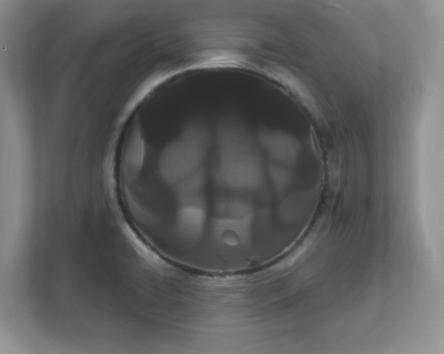 X0000111421422200907271134