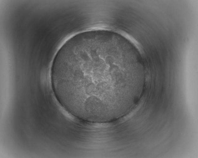 X0000111421423200907271134