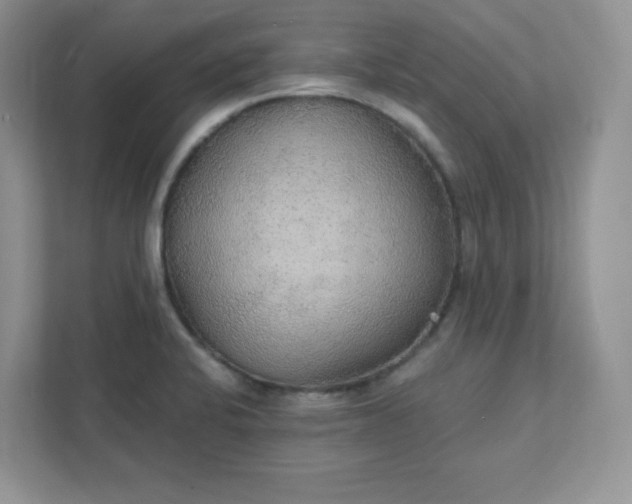 X0000111421424200907271134