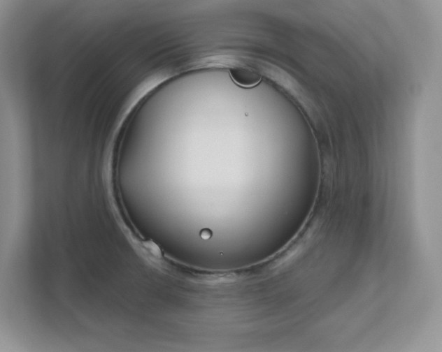 X0000111421426200907271134