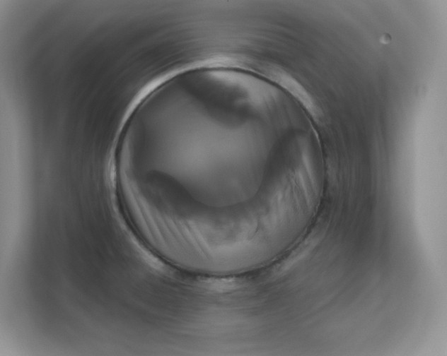 X0000111421428200907271134