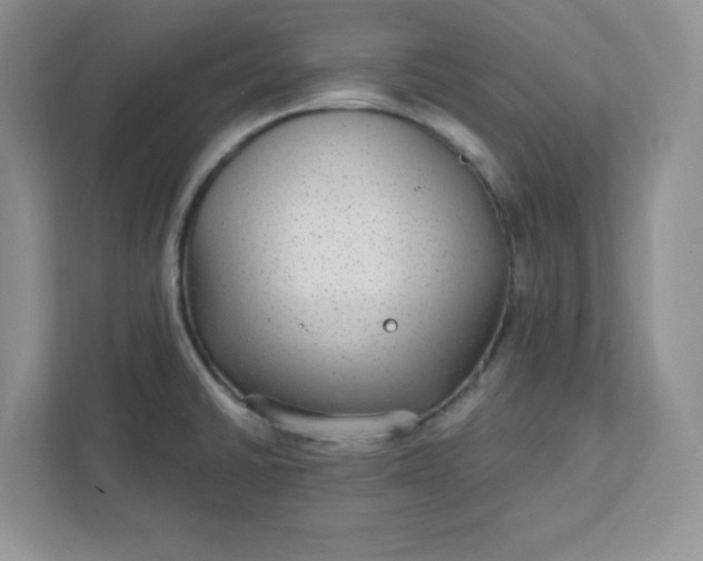 X0000111421430200907271134