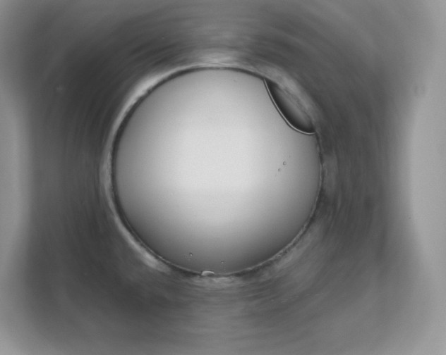 X0000111421432200907271134