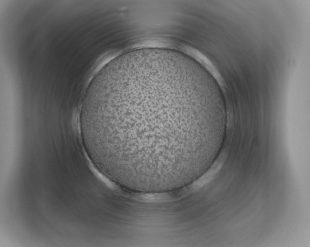 X0000111421433200907271134