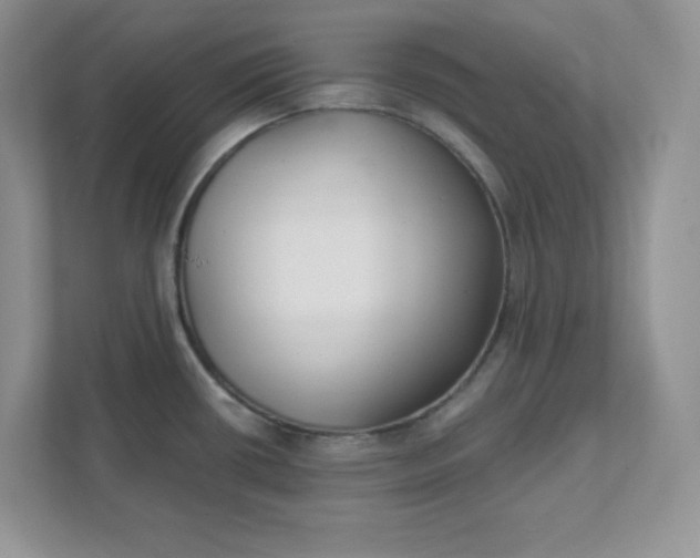 X0000111421434200907271134