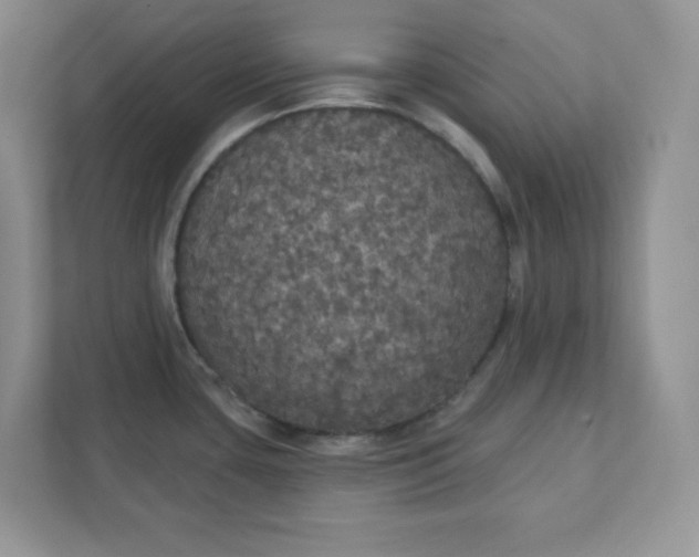 X0000111421435200907271134