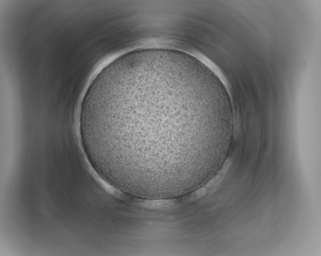 X0000111421437200907271134