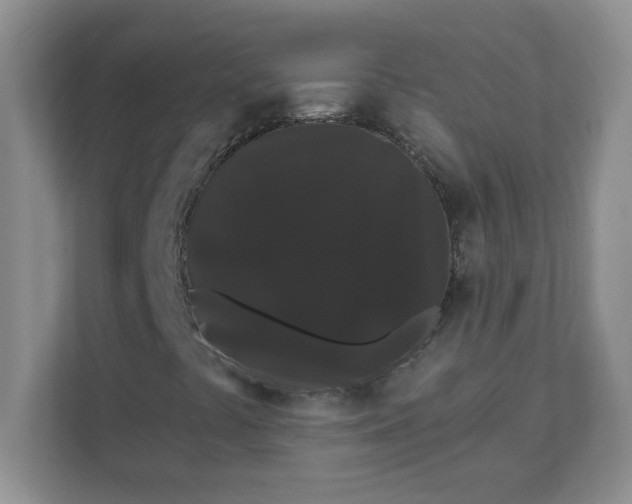 X0000111421441200907271133