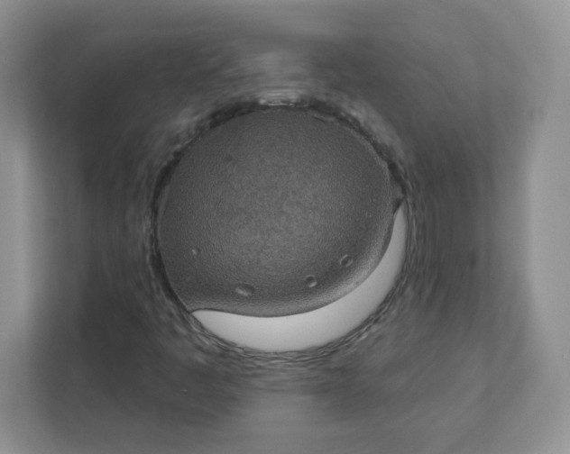 X0000111421445200907271133