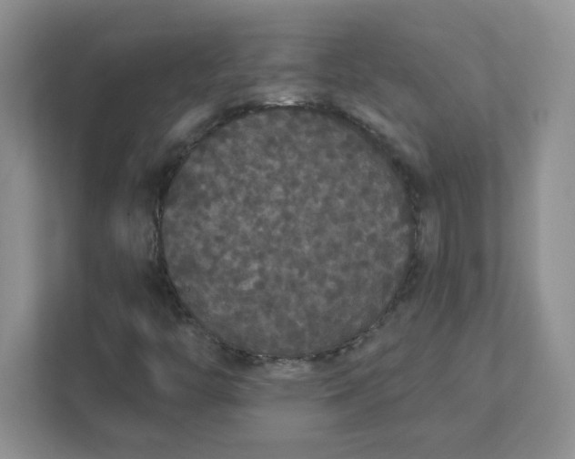 X0000111421446200907271133