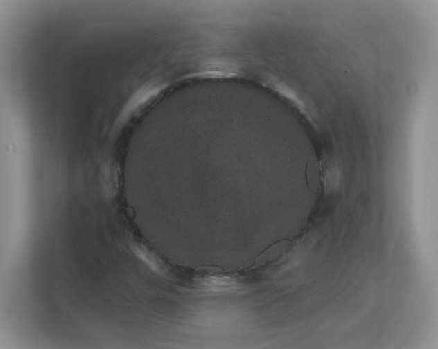 X0000111421448200907271133