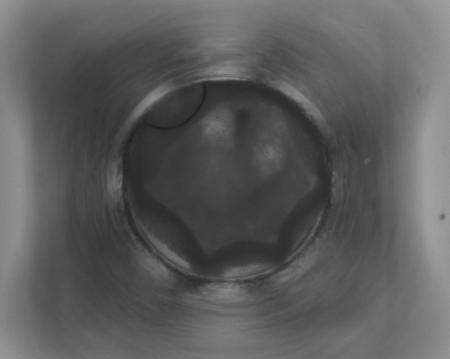 X0000111421450200907271133