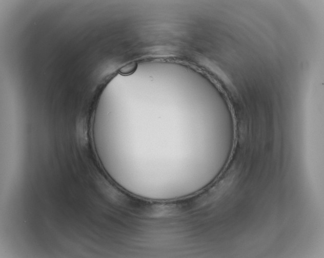 X0000111421451200907271133