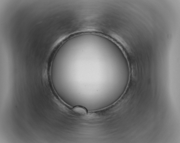 X0000111421452200907271133