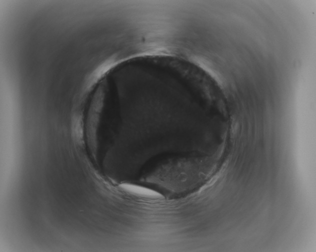 X0000111421455200907271133